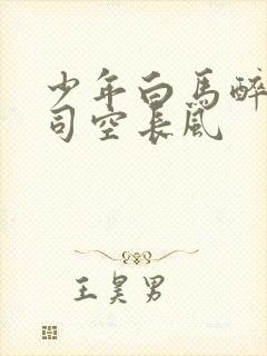 少年白马醉春风司空长风