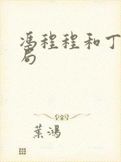 冯程程和丁力结局