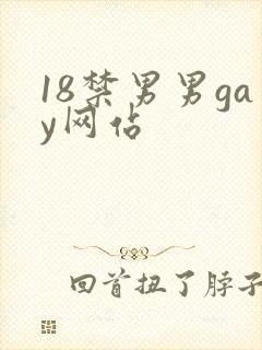18禁男男gay网站封面