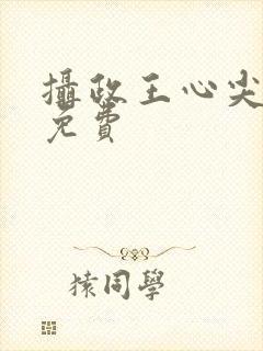 摄政王心尖宠妃免费封面