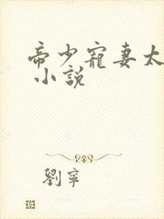 帝少宠妻太凶猛 小说