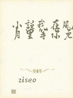 小说我在风花雪月里等你免费下载封面