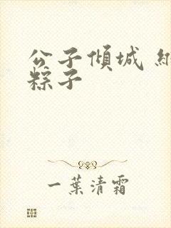 公子倾城 维和粽子