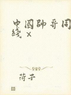 中国帅哥同志在线ⅹ