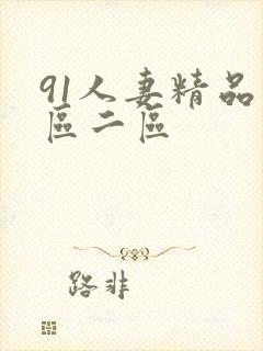 91人妻精品一区二区封面