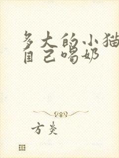 多大的小猫可以自己喝奶