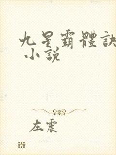 九星霸体诀龙尘 小说封面
