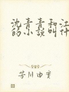 沈青青和江致勋的小说叫什么名字
