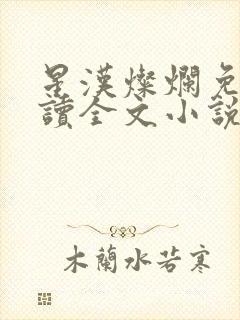 星汉灿烂免费阅读全文小说