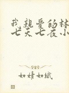 我亲爱的林法医七天七夜小说