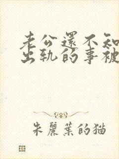 老公还不知道他出轨的事被我发现了封面