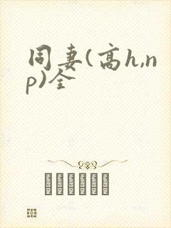 同妻(高h,np)全