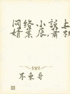 网络小说上门龙婿叶辰,萧初然封面