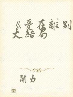 《爱在离别后》大结局封面