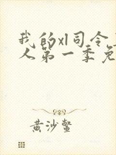 我的xl司令真人第一季免费观看