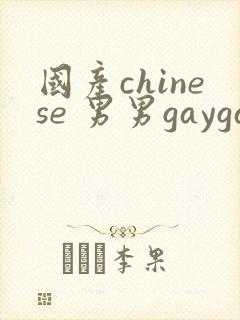 国产chinese 男男gaygay网站