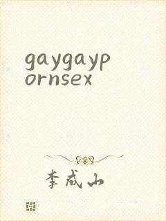 gaygaypornsex