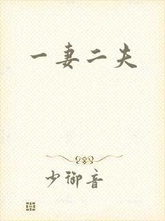 一妻二夫封面
