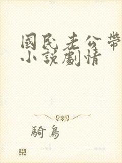 国民老公带回家小说剧情封面