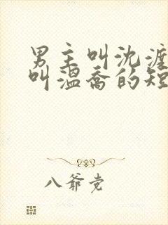 男主叫沈渡女主叫温乔的短剧封面