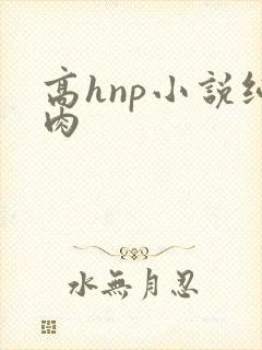 高hnp小说纯肉封面