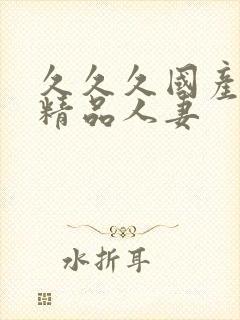 久久久国产日韩精品人妻