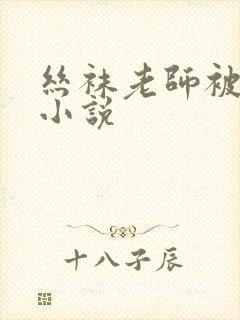 丝袜老师被我操小说