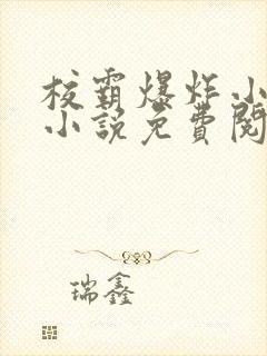 校霸爆炸小漂亮小说免费阅读封面