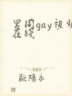 男同gay视频在线