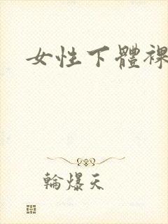 女性下体裸体照
