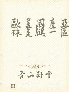 欧美国产亚洲丝袜美腿一区