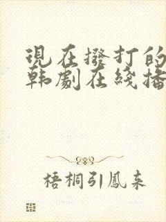 现在拨打的电话韩剧在线播放高清封面