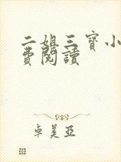 二姐三宝小说免费阅读