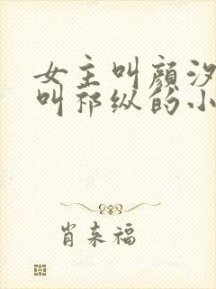 女主叫颜汐男主叫祁纵的小说名字