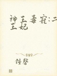 神王毒宠:二嫁王妃