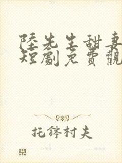 陆先生甜妻酷宝短剧免费观看