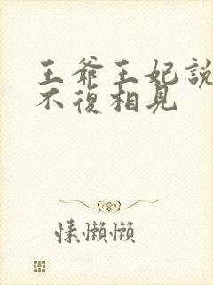 王爷王妃说此生不复相见封面