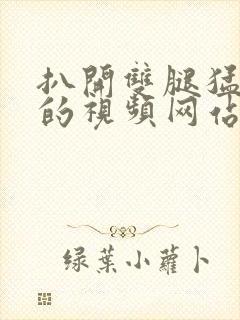 扒开双腿猛进入的视频网站