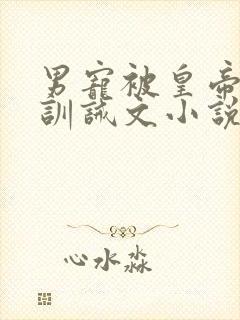 男宠被皇帝挨打训诫文小说