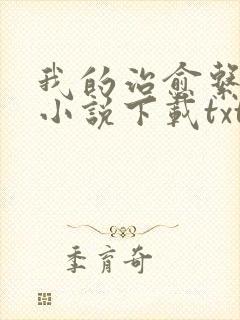 我的治愈系游戏小说下载txt封面