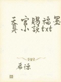 天官赐福墨香铜臭小说txt封面