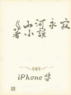 《山河永寂》原著小说