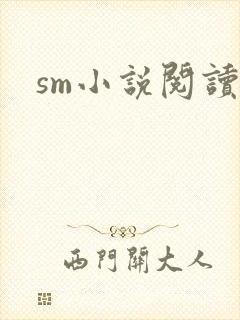sm小说阅读
