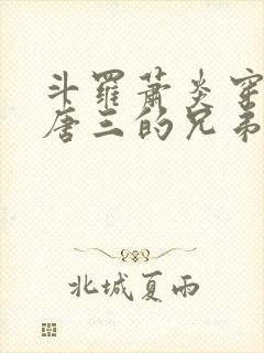 斗罗萧炎穿越成唐三的兄弟