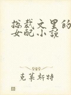 总裁文里的炮灰女配小说