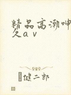 精品高潮呻吟久久aⅴ