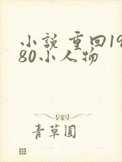 小说 重回1980小人物