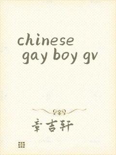 chinese gay boy gv