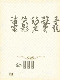 消失的杀手国语电影免费观看