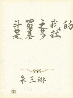 斗罗之我的武魂是基多拉